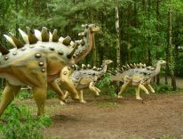 dinosaury cicavce prehistorické zvieratá doby ľadovej modelová dielňa 04