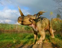 dinosaury cicavce prehistorické zvieratá doby ľadovej modelová dielňa 06