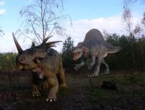 dinosaury cicavce prehistorické zvieratá doby ľadovej modelová dielňa 16
