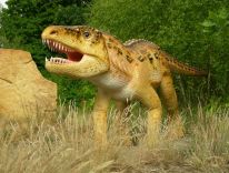 dinosaury cicavce prehistorické zvieratá doby ľadovej modelová dielňa 24