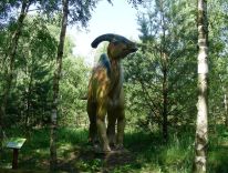 dinosaury cicavce prehistorické zvieratá doby ľadovej modelová dielňa 31